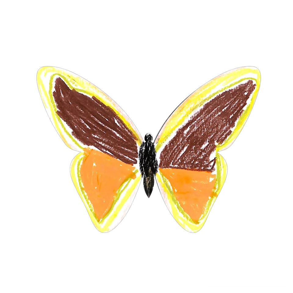 Original Butterfly Image