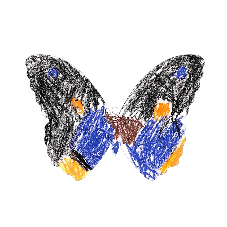 Original Butterfly Image