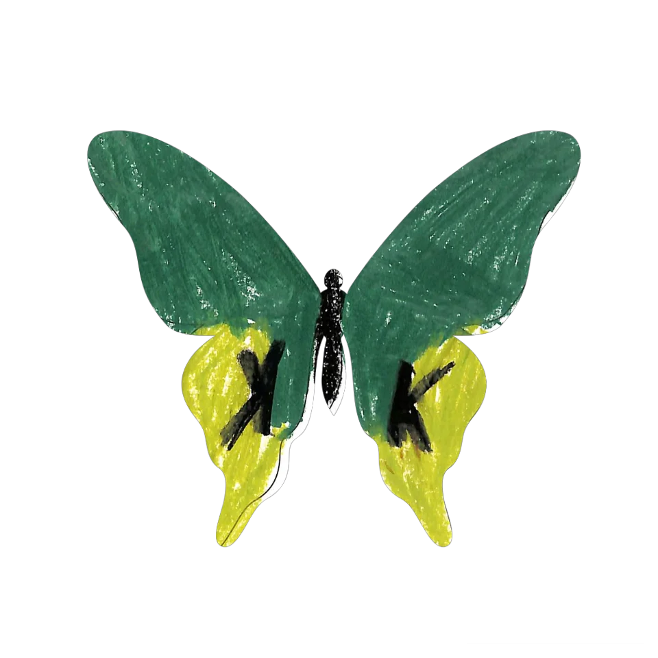 Original Butterfly Image