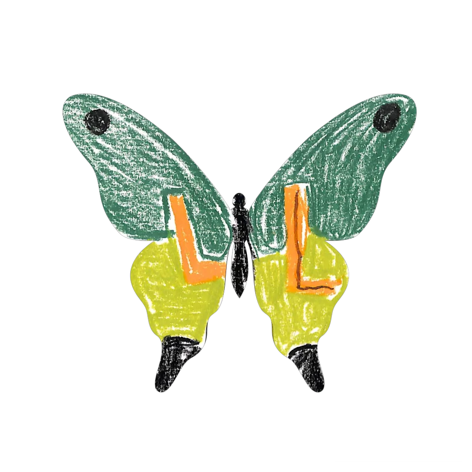 Original Butterfly Image