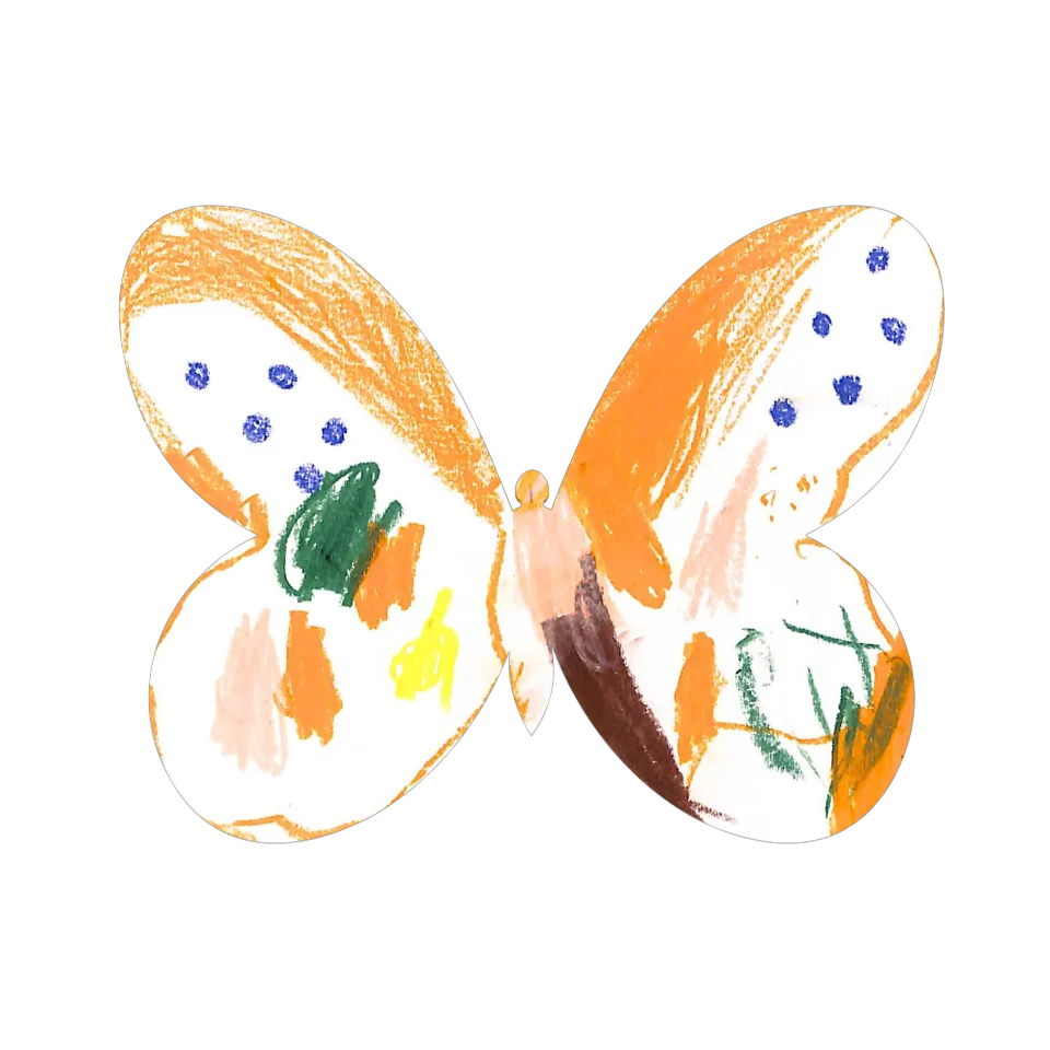 Original Butterfly Image