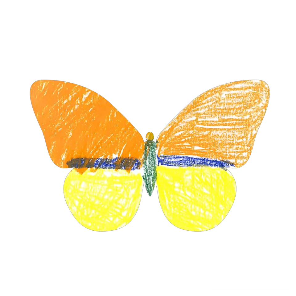 Original Butterfly Image