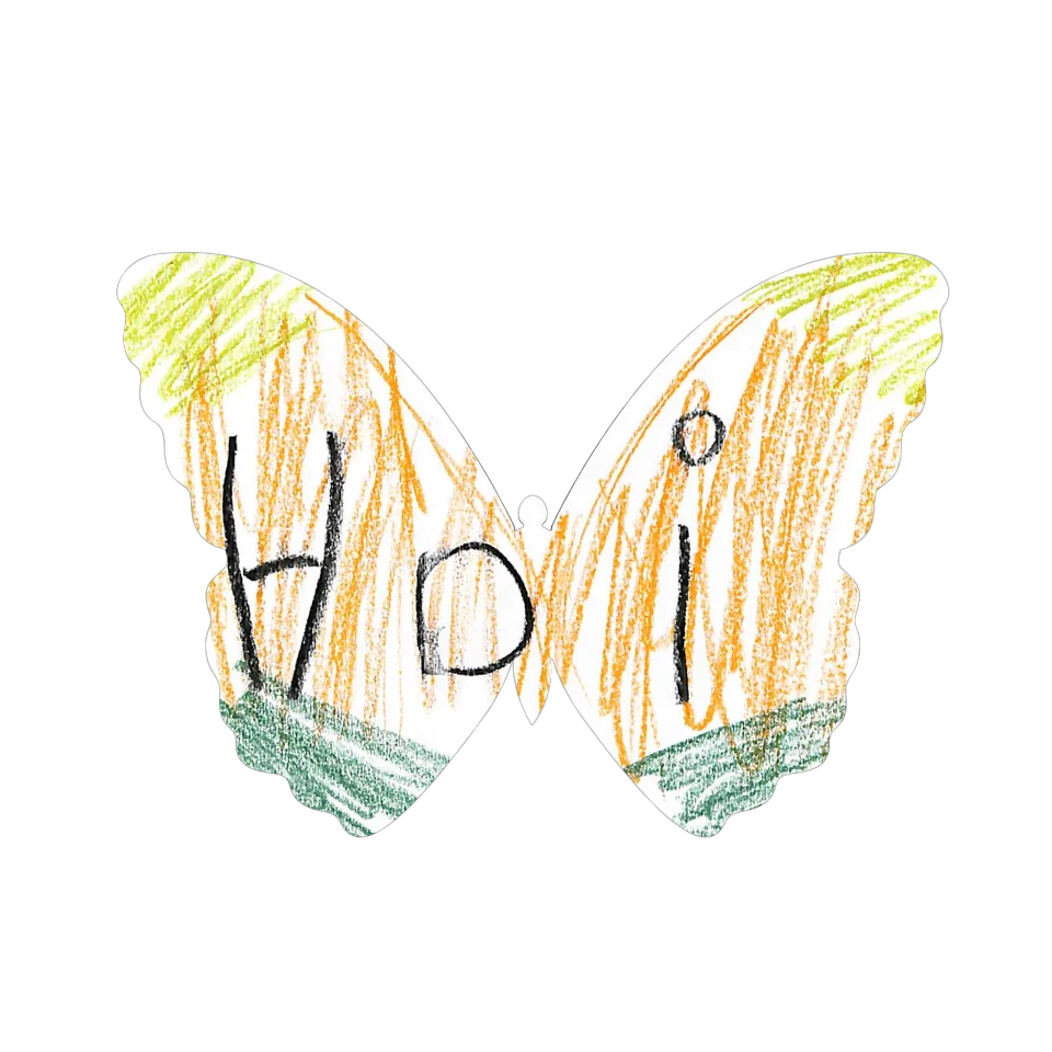 Original Butterfly Image