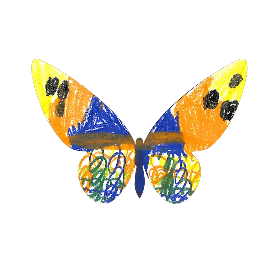 Original Butterfly Image