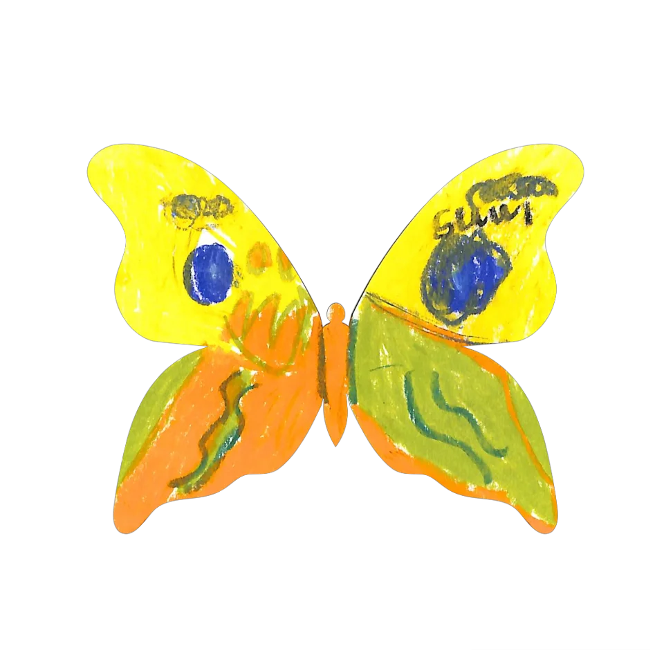 Original Butterfly Image