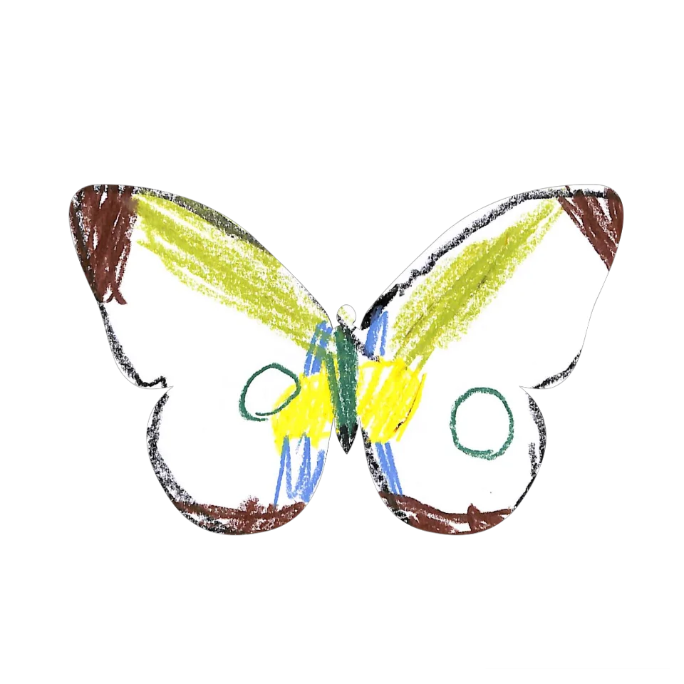 Original Butterfly Image