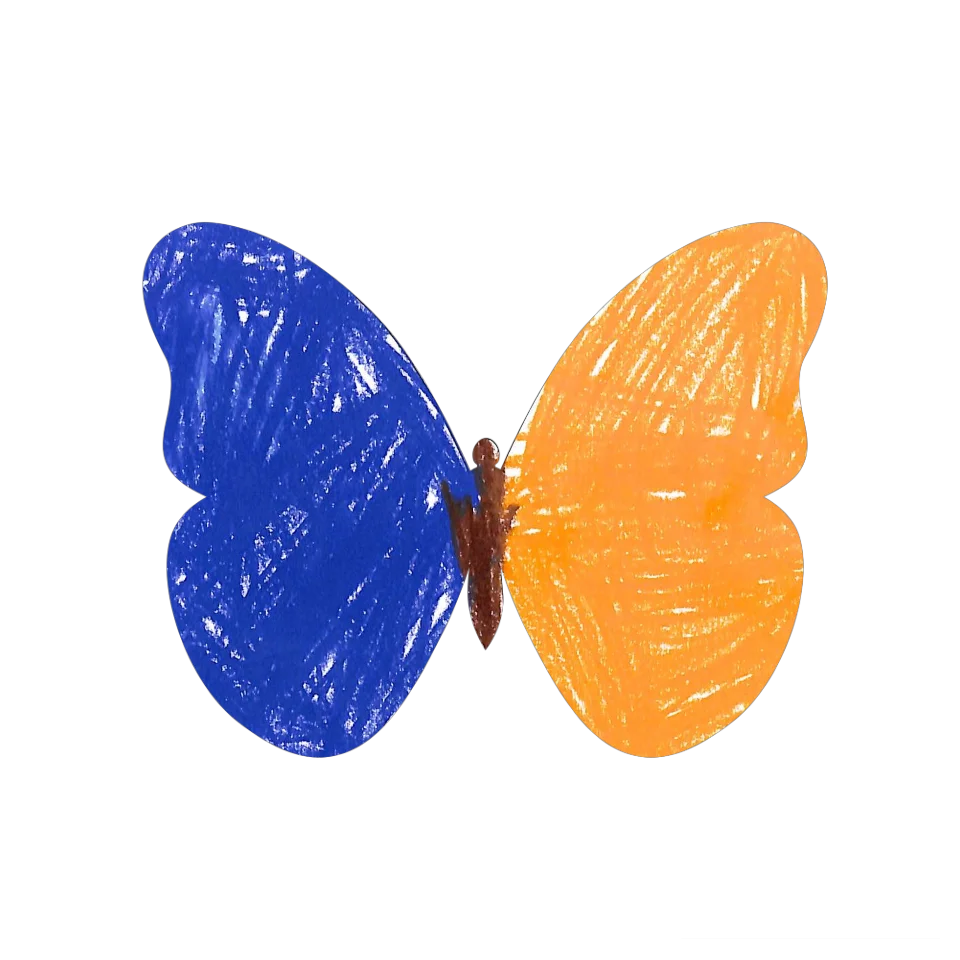 Original Butterfly Image