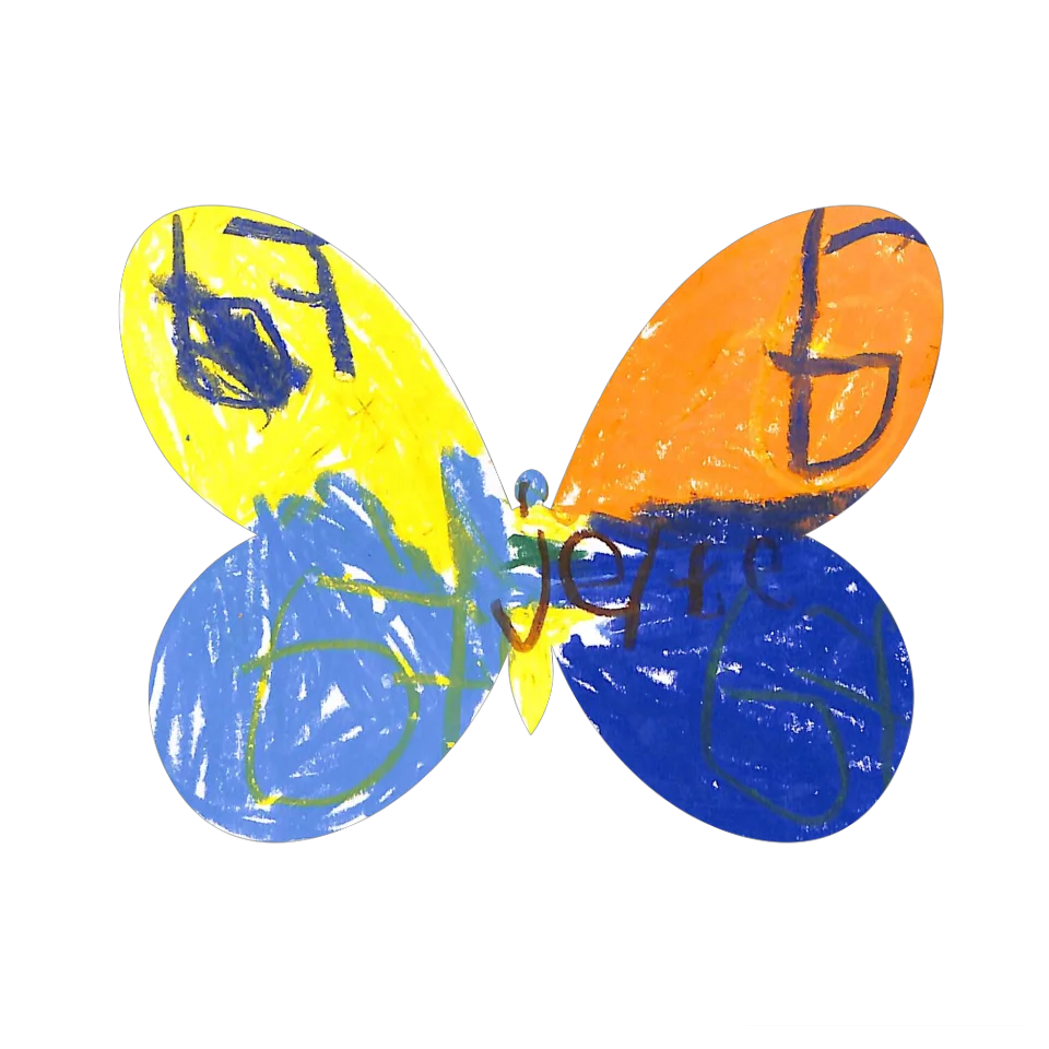 Original Butterfly Image