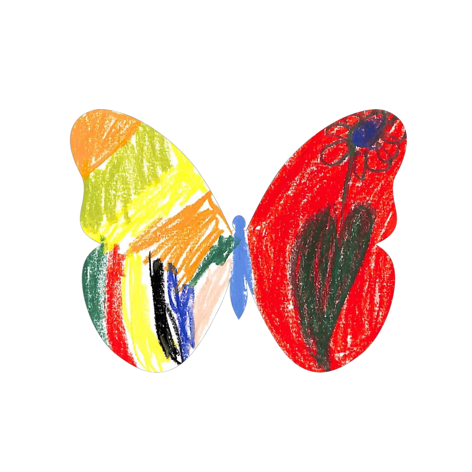 Original Butterfly Image