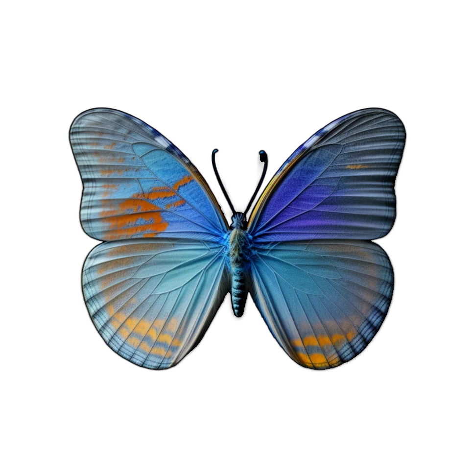 Generated Butterfly Image