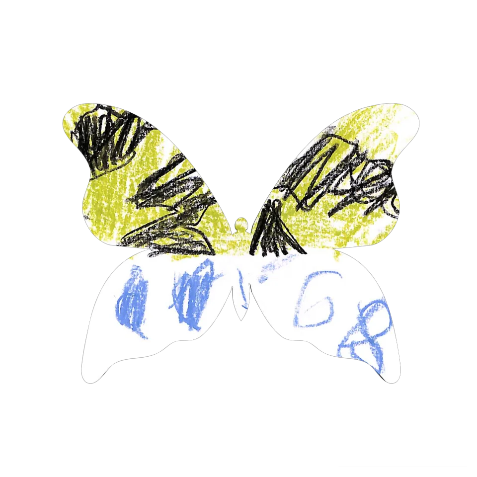 Original Butterfly Image