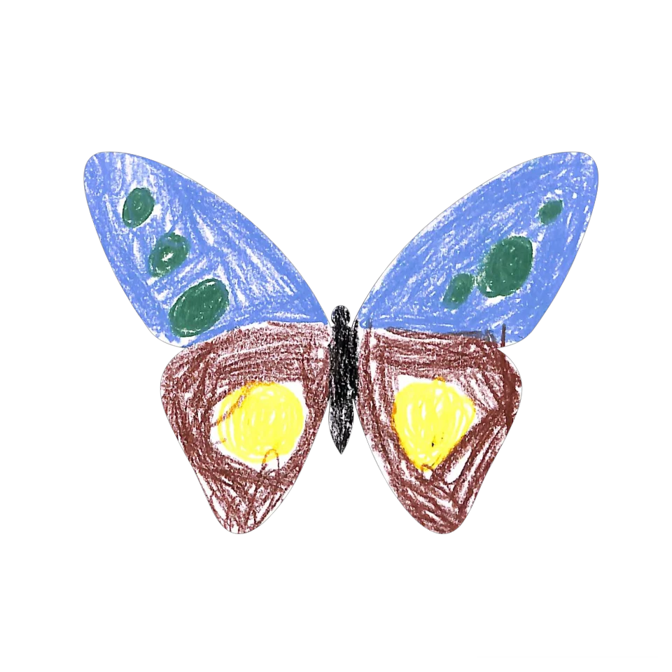 Original Butterfly Image