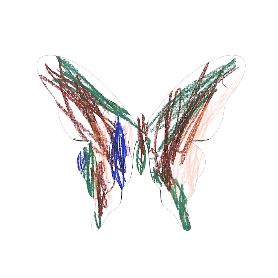 Original Butterfly Image