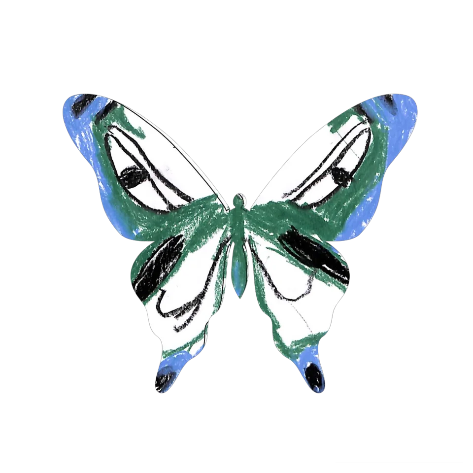 Original Butterfly Image