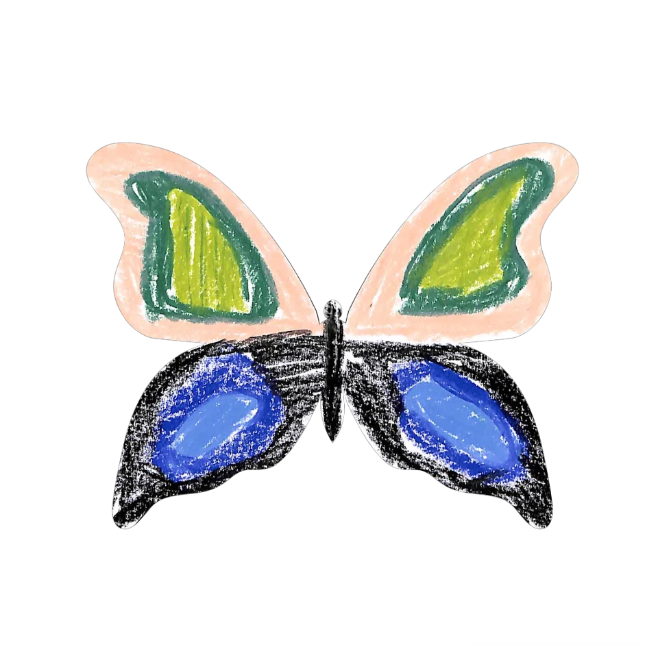 Original Butterfly Image