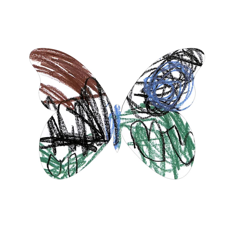 Original Butterfly Image