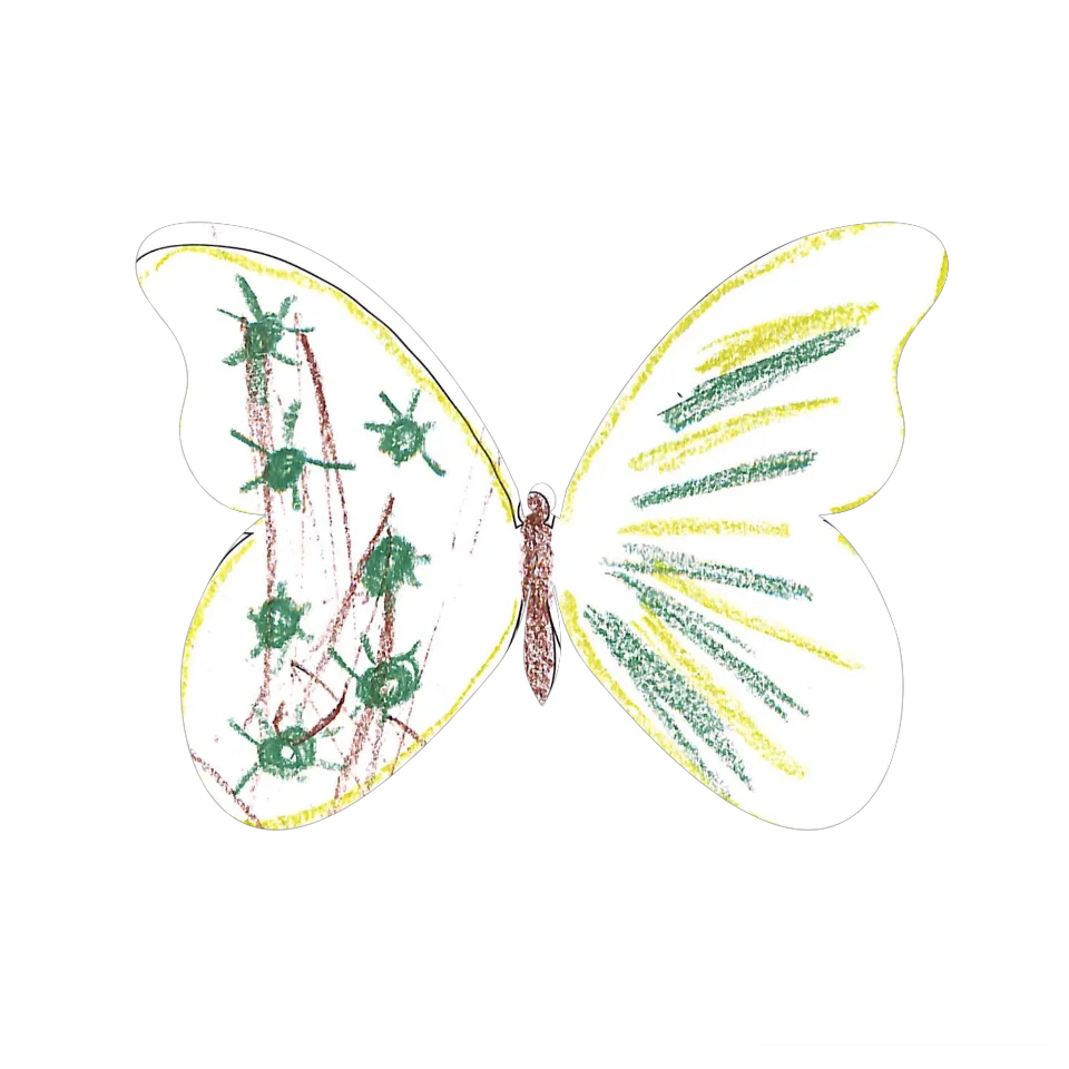 Original Butterfly Image