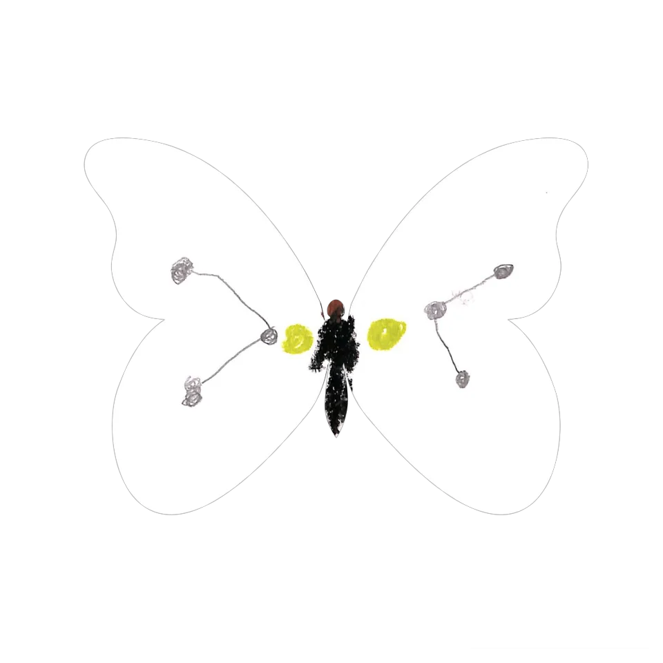 Original Butterfly Image