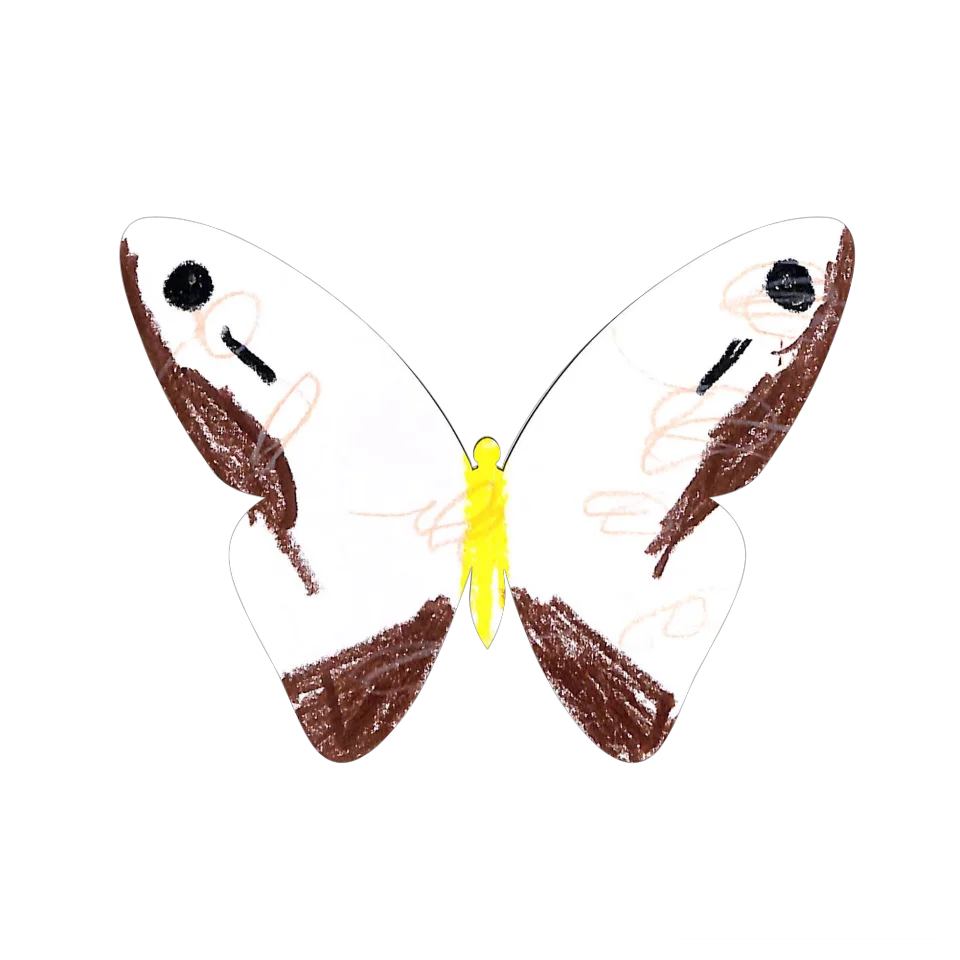 Original Butterfly Image
