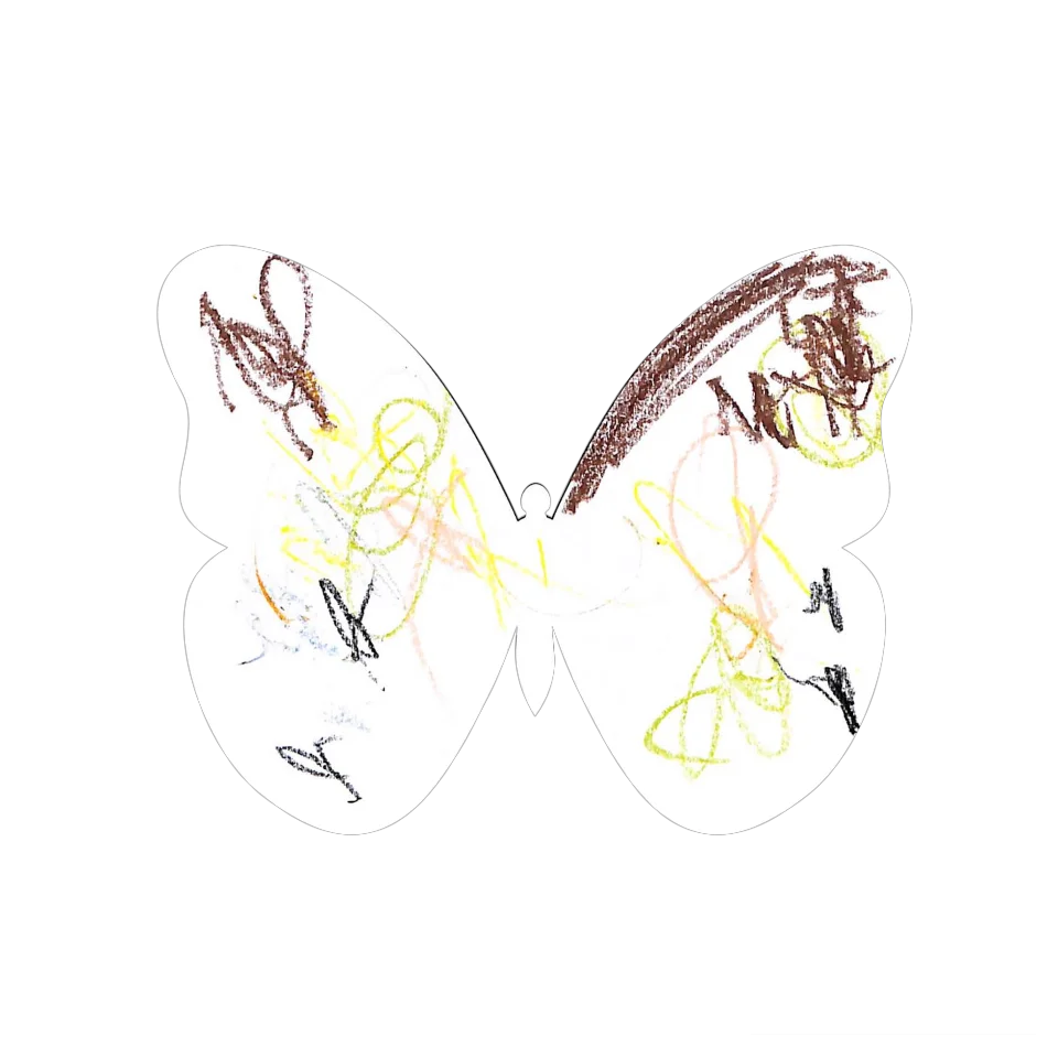 Original Butterfly Image