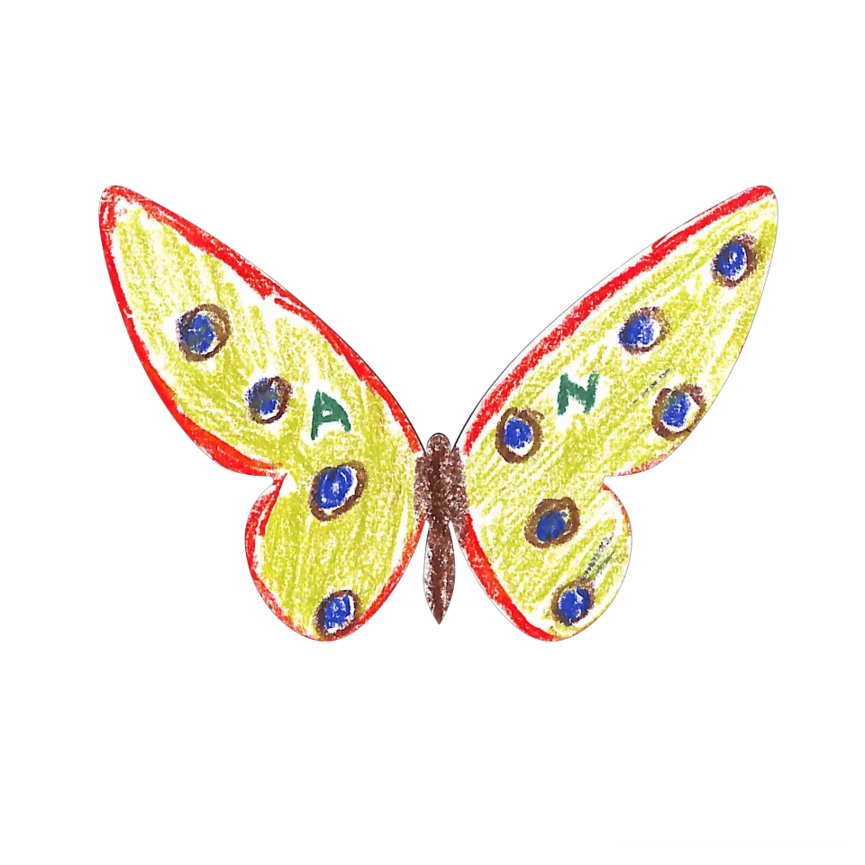 Original Butterfly Image
