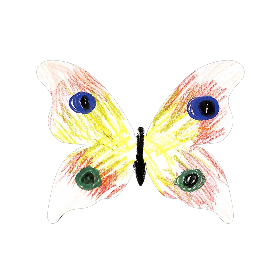 Original Butterfly Image