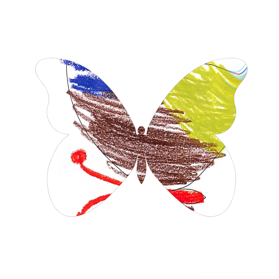 Original Butterfly Image