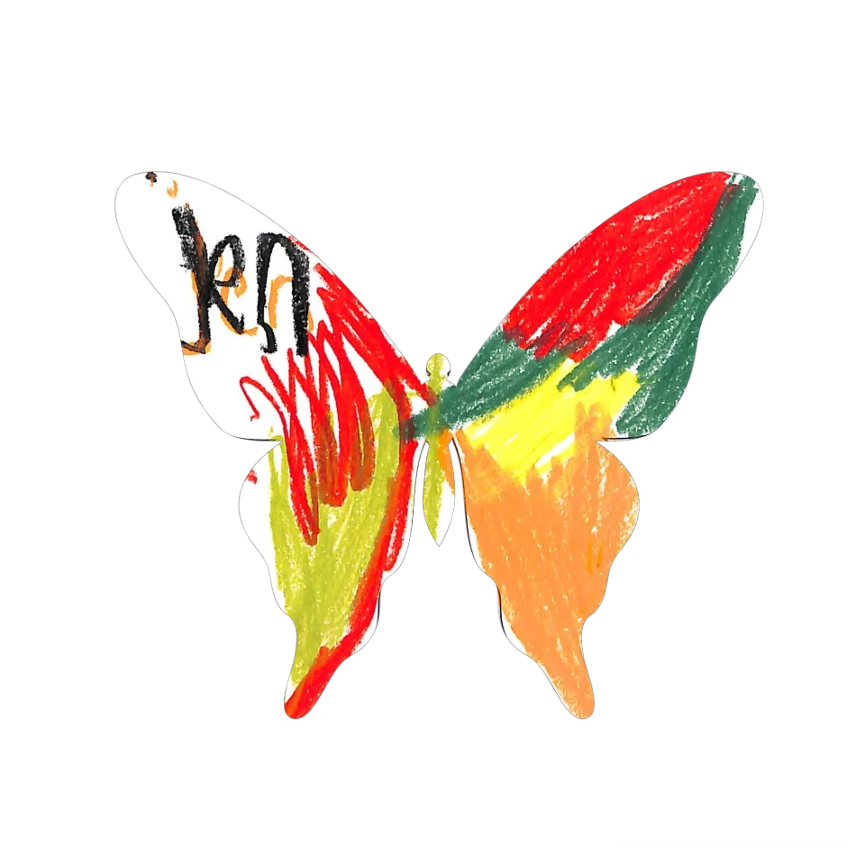 Original Butterfly Image