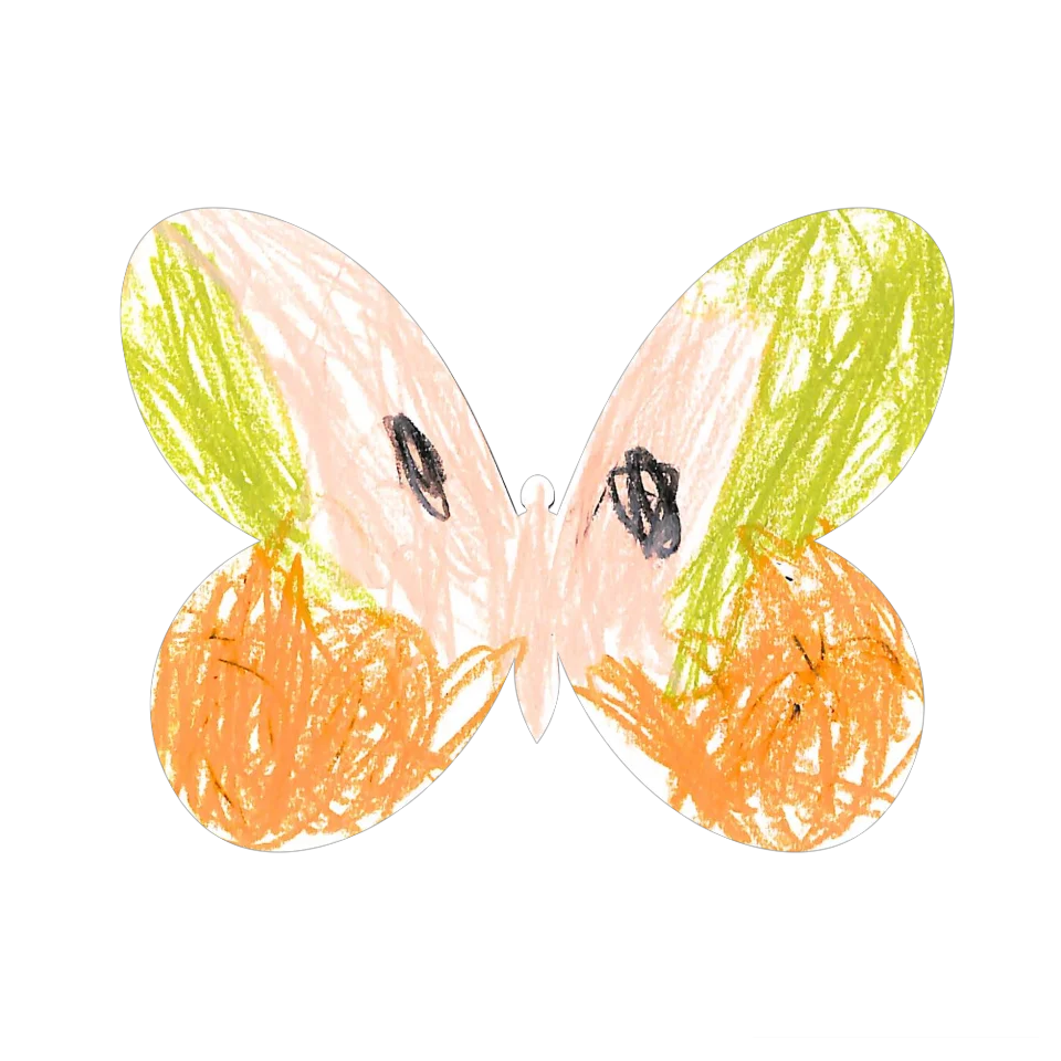 Original Butterfly Image