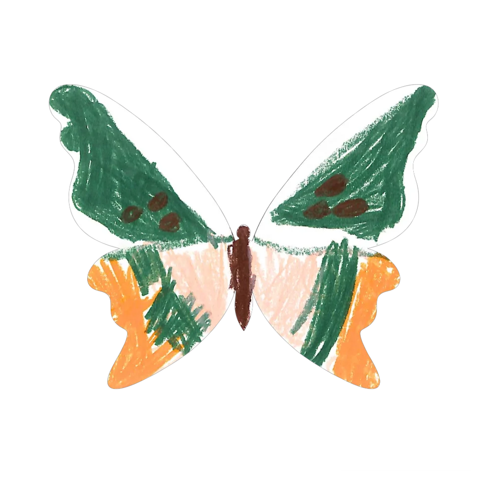 Original Butterfly Image