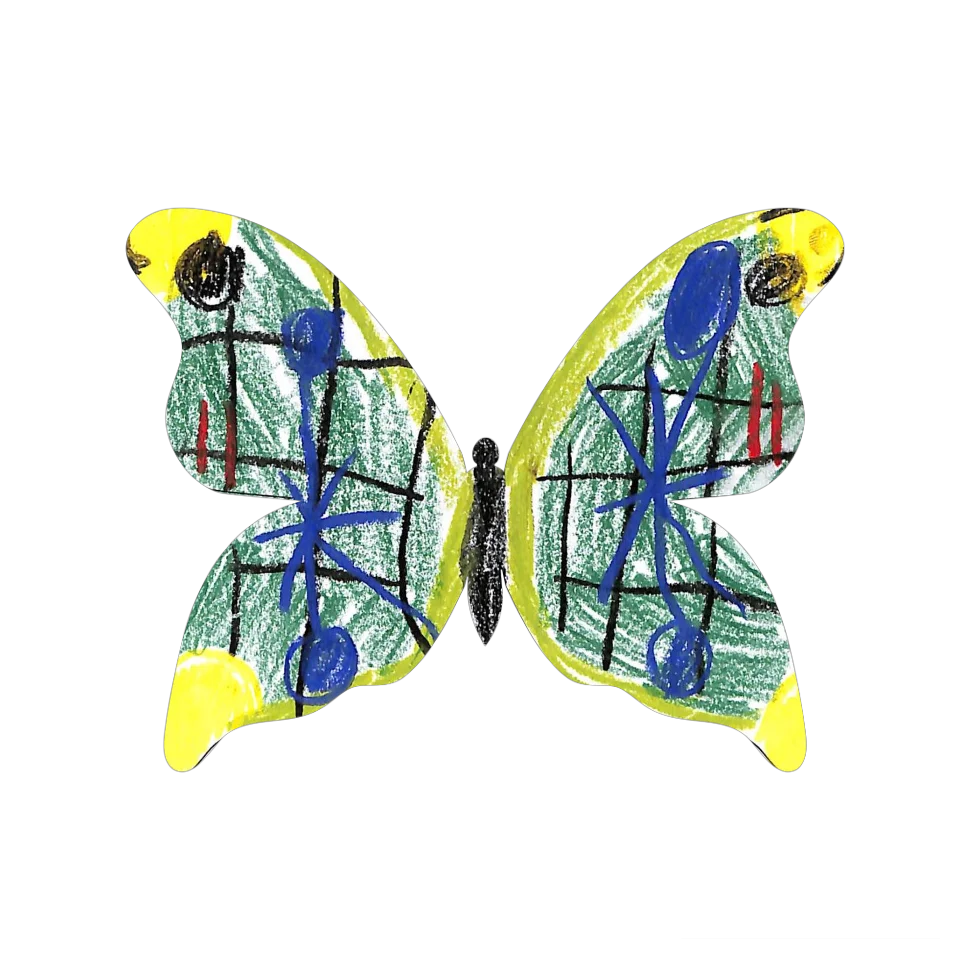 Original Butterfly Image