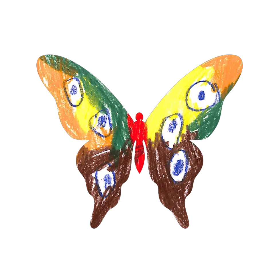 Original Butterfly Image