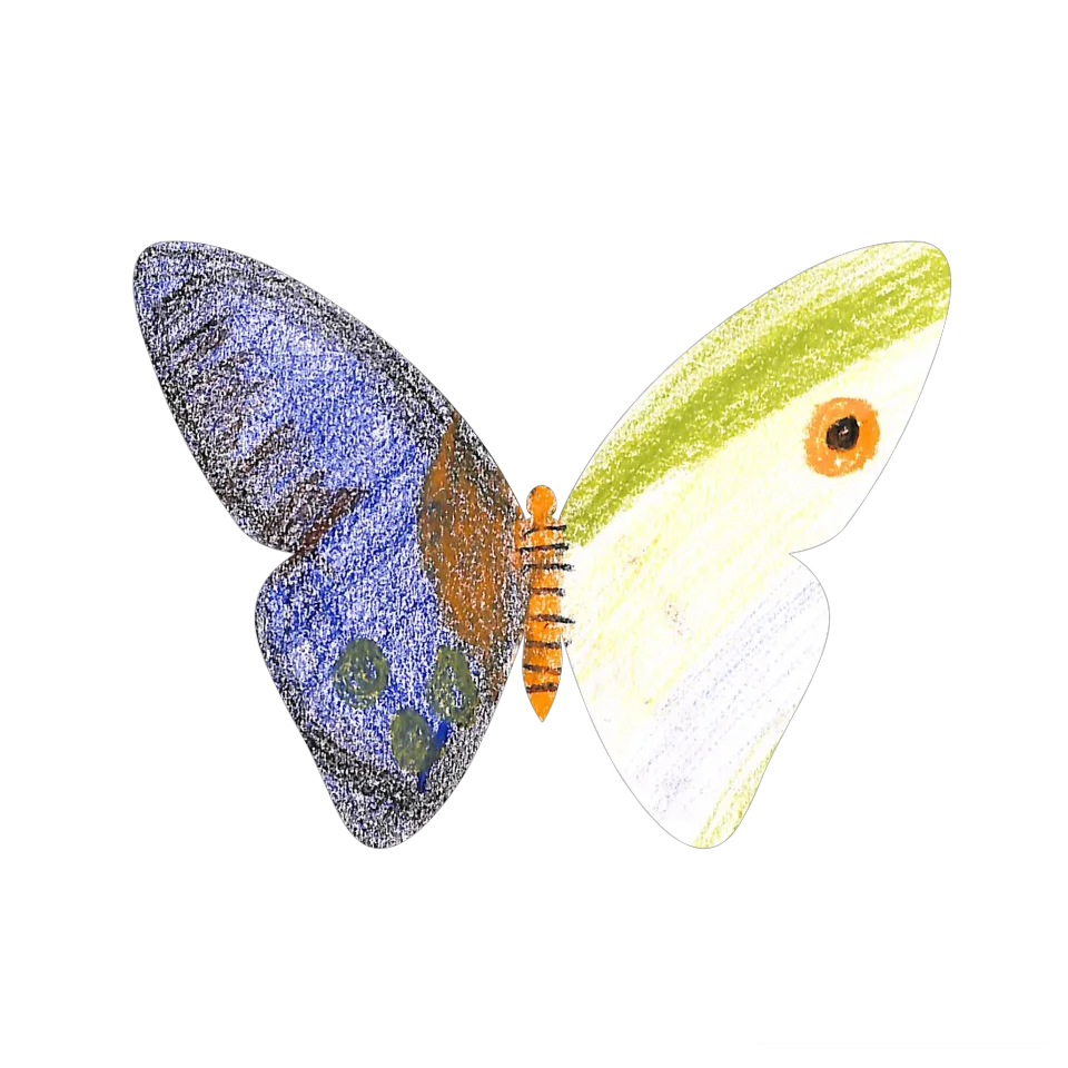 Original Butterfly Image