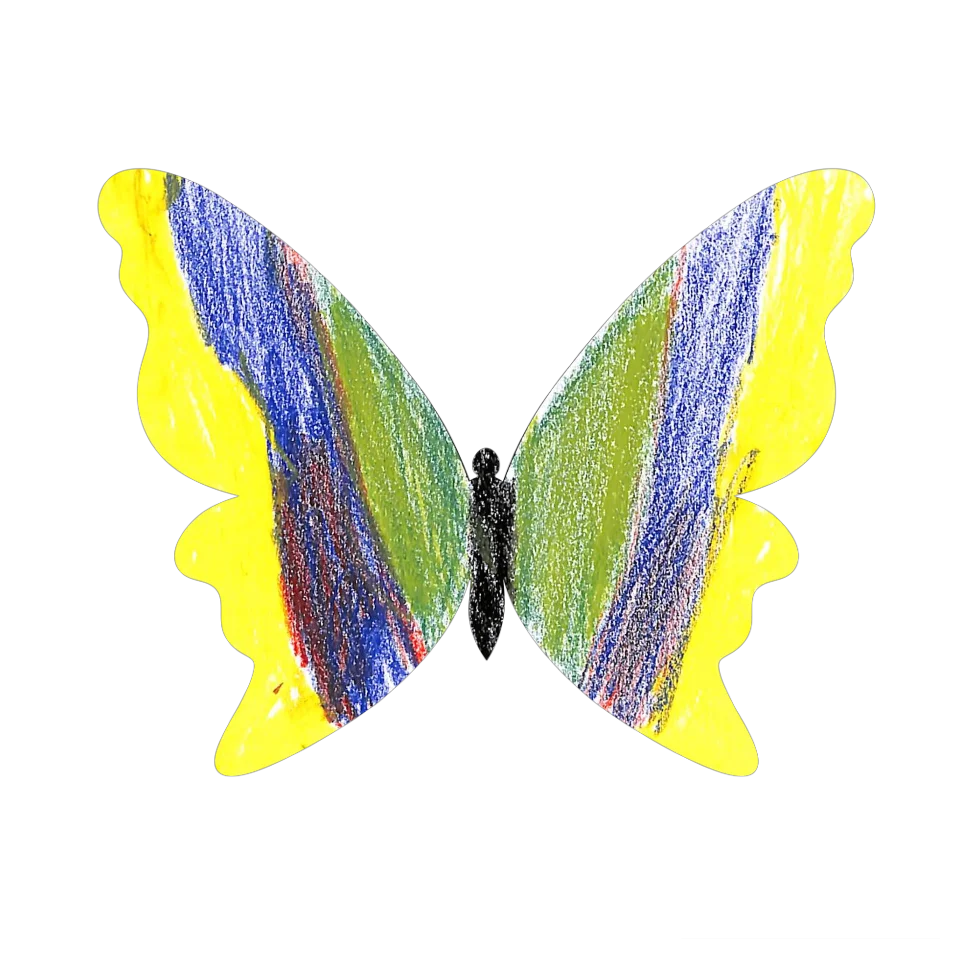 Original Butterfly Image