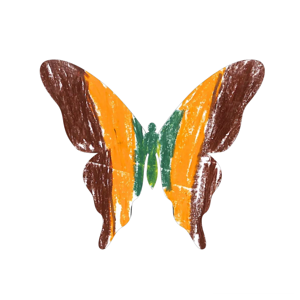 Original Butterfly Image