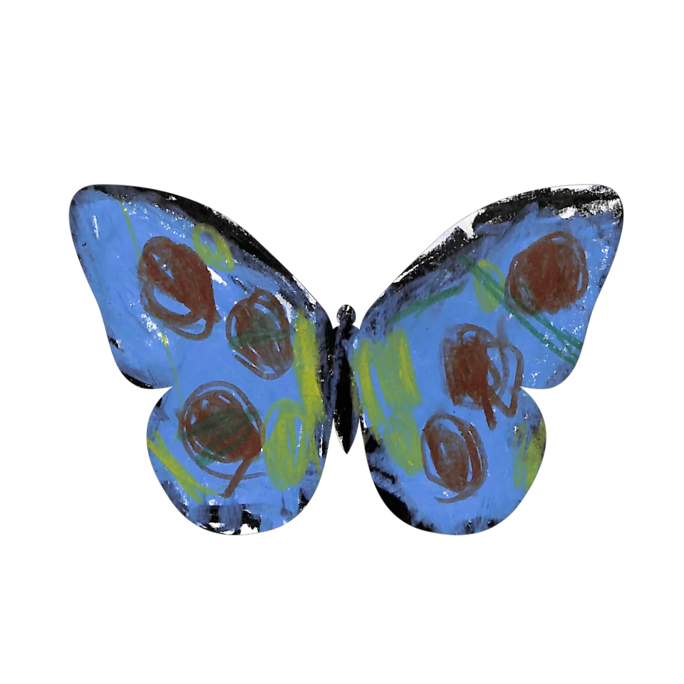 Original Butterfly Image