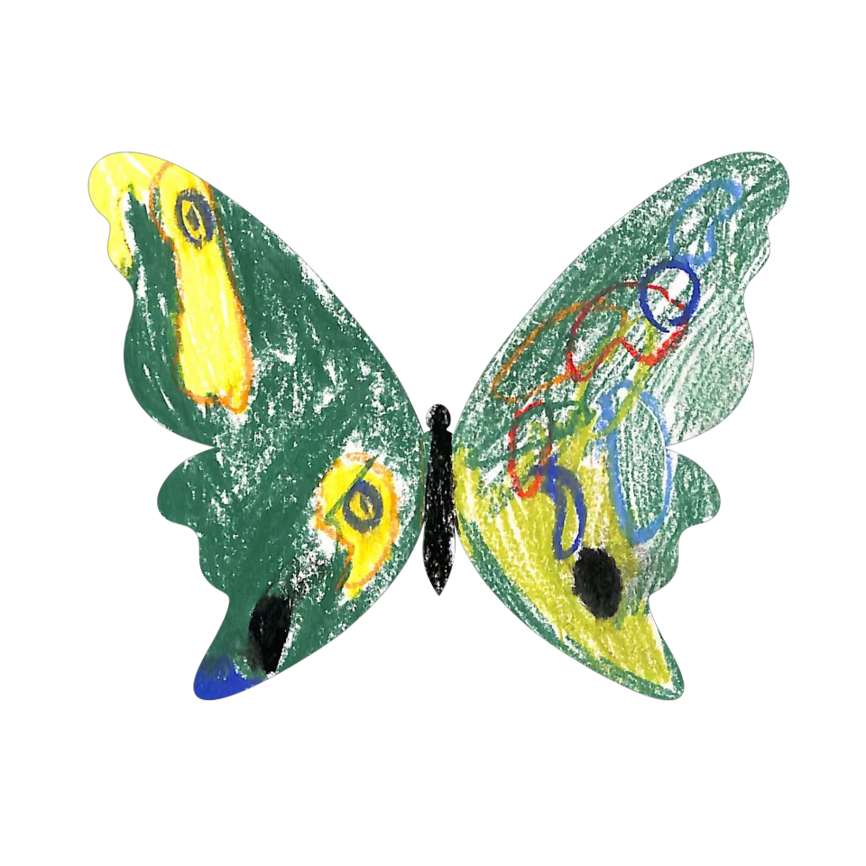 Original Butterfly Image