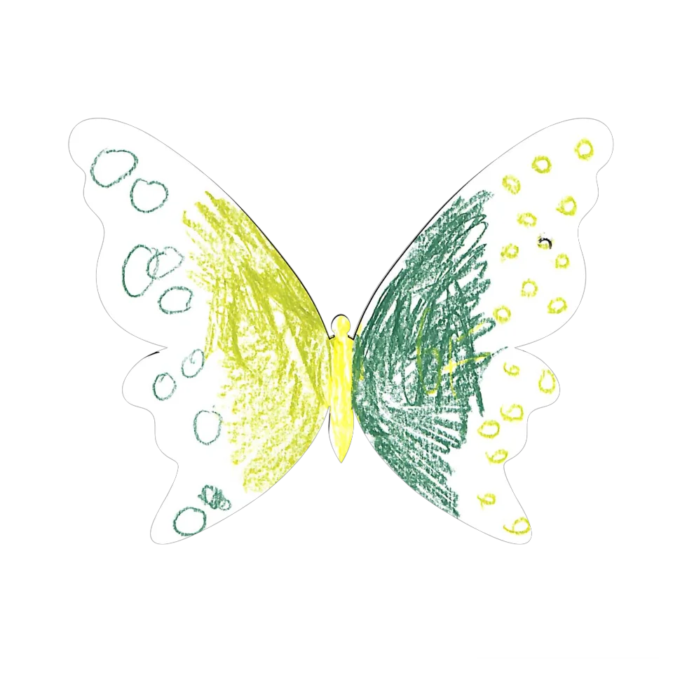 Original Butterfly Image