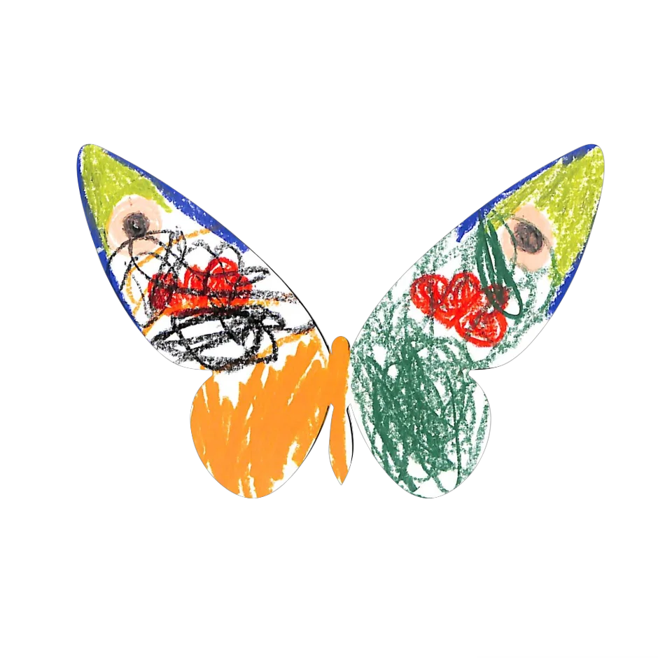 Original Butterfly Image