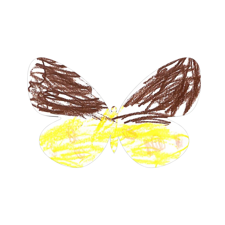 Original Butterfly Image