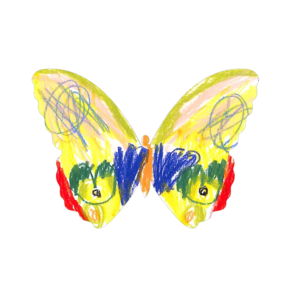 Original Butterfly Image