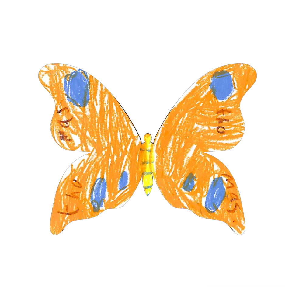 Original Butterfly Image