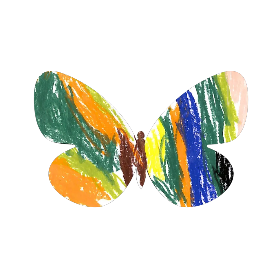 Original Butterfly Image