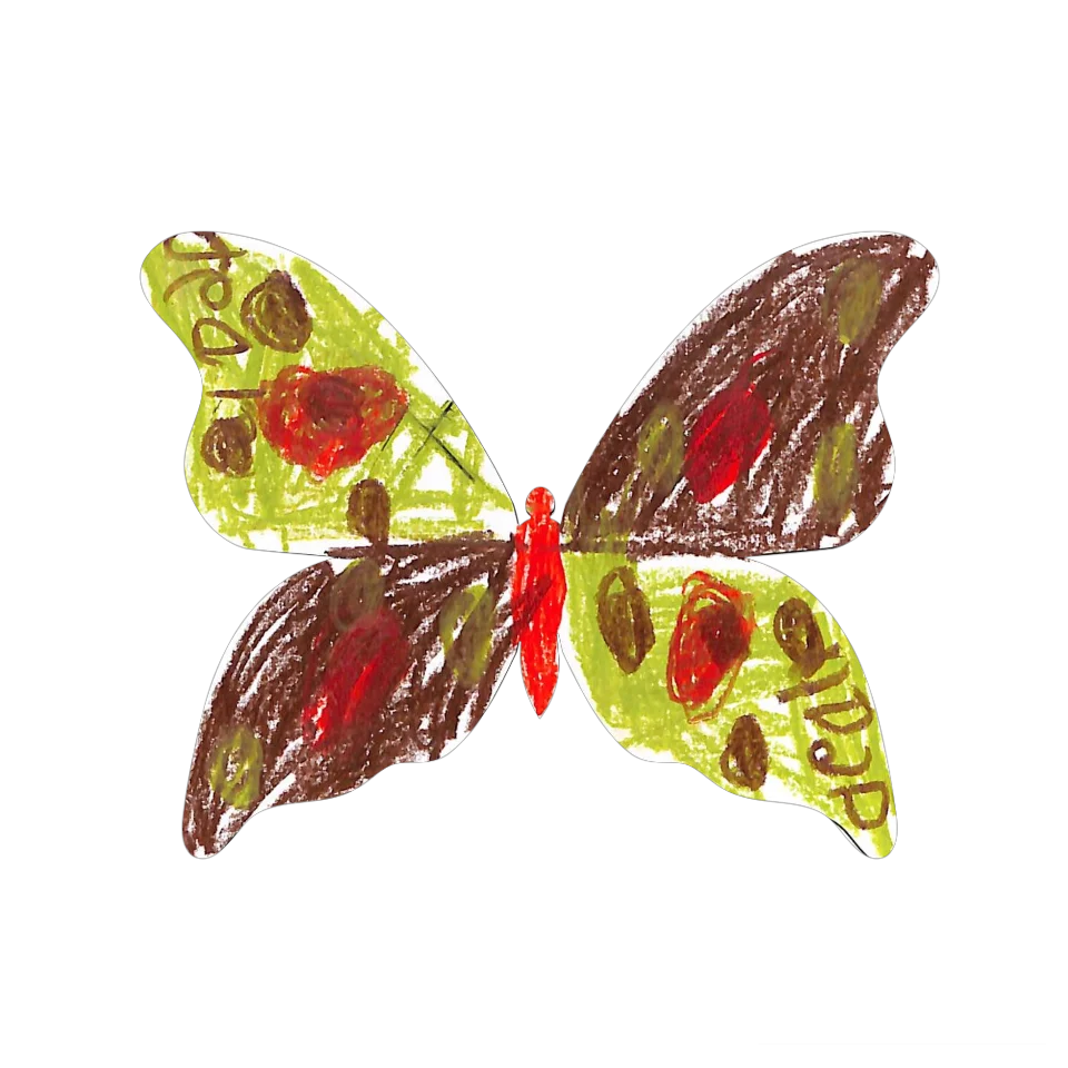 Original Butterfly Image