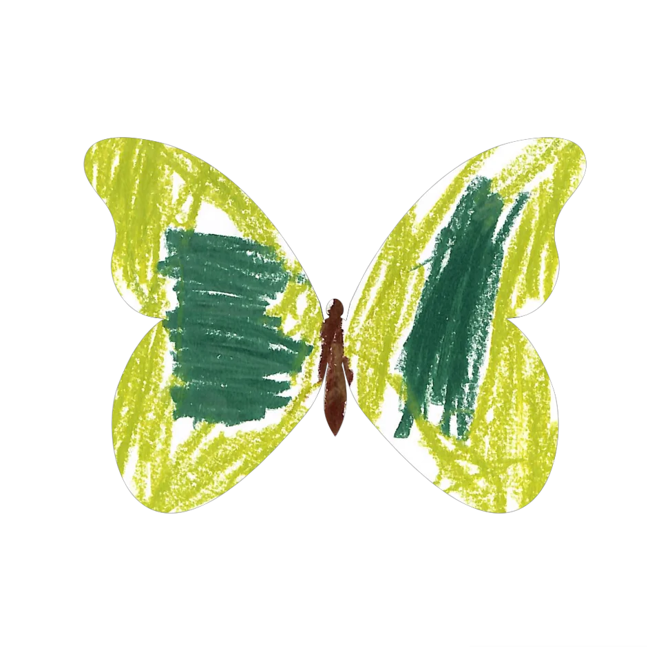 Original Butterfly Image