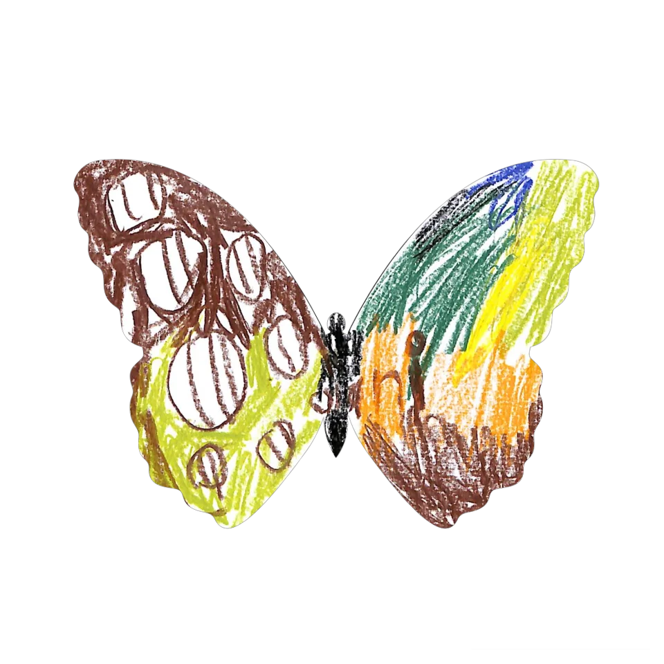 Original Butterfly Image