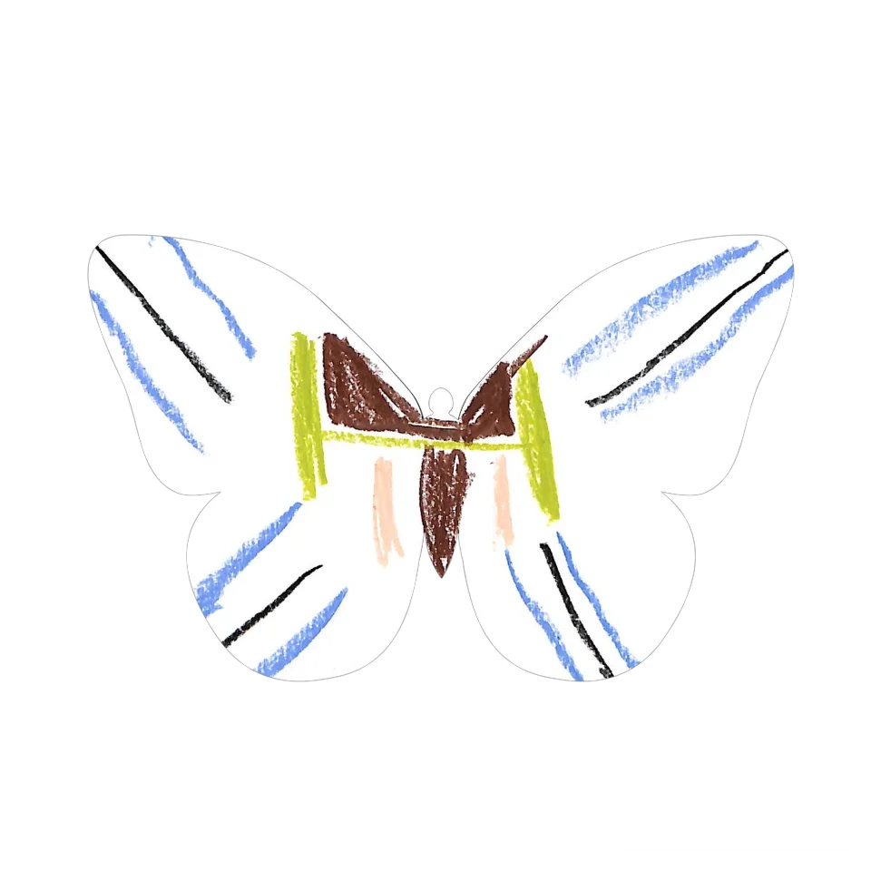 Original Butterfly Image
