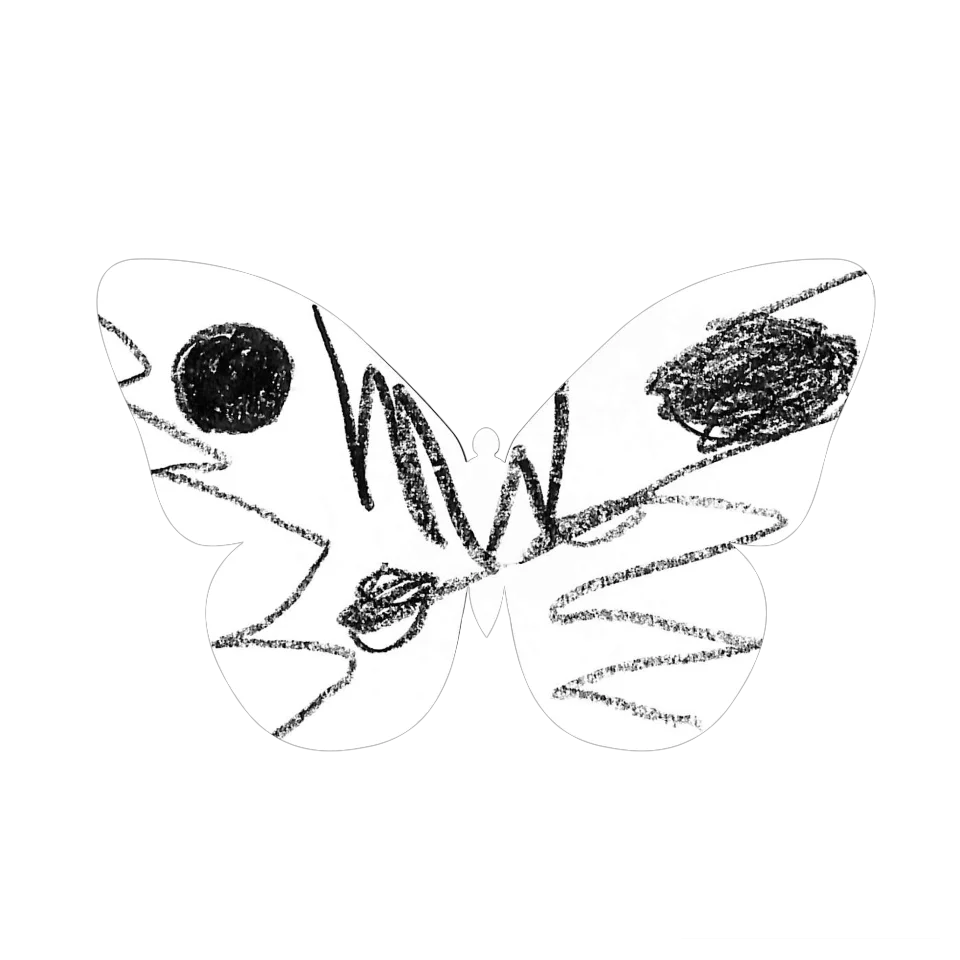 Original Butterfly Image