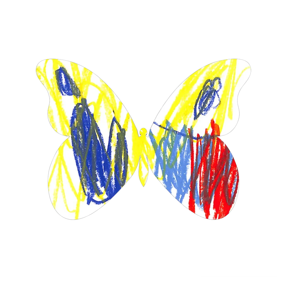 Original Butterfly Image