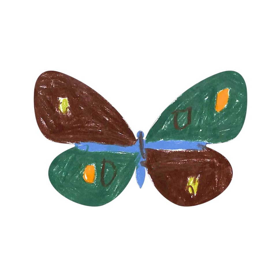 Original Butterfly Image